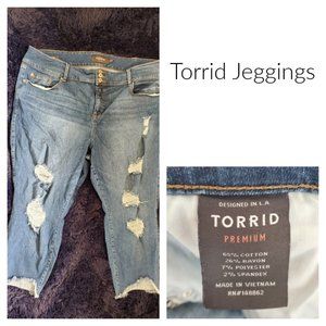 Torrid Jeggings 8323